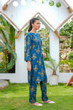 2 Pcs Women's Stitched Linen Printed Shirt And Trouser