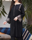 2 Pcs Women's Stitched Linen Embroidered Suit